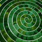 Profile Picture of Steve Gumm (@stevecafc71) on Instagram