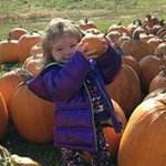 Profile Picture of Cindy Behling (@cin.d.b) on Instagram