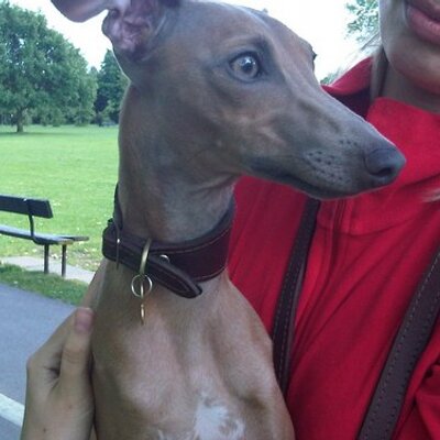 Profile Picture of Paul Grice (@VerreDemiPlein) on Twitter