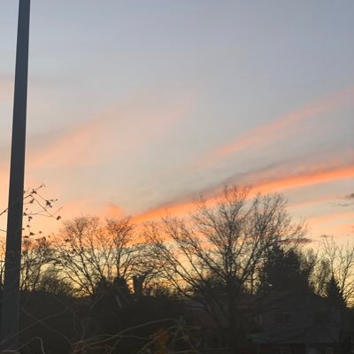 Profile Picture of Adam Siler (@adamsiler20) on Twitter