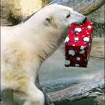 Profile Picture of Herman Skipper (@herman.skipper) on Facebook