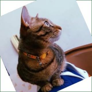 Profile Picture of 하희수 (@ha.heesoo) on Instagram