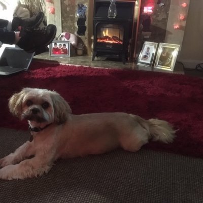 Profile Picture of Eric & Joys Caravans (@ScoobyJoy) on Twitter