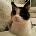 Profile Picture of Teresa Pritchard (@teresa1801) on Instagram