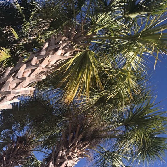 Profile Picture of Luke Hosse (@lhosse) on Poshmark