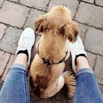 Profile Picture of Ivana Remensperger (@vani81_xoxo) on Instagram