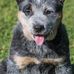 Profile Picture of Edward Pugh (@edward.pugh.752) on Facebook
