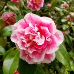 Profile Picture of Jason Welter (@discoverchallenges) on Instagram