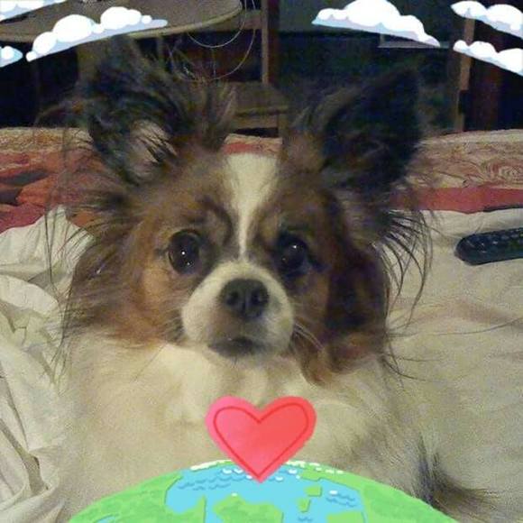 Profile Picture of Joyce Mayers (@joycemayers) on Poshmark