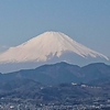 Profile Picture of naruse hiromoto (@narusefl) on Flickr
