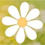 Profile Picture of Luz Ross (@luzross4786) on Instagram