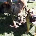 nspina61@gmail.com - Instagram Profile Picture of nspina61@gmail.com (@fernando_nuno_ferreira_) on Instagram