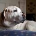 Profile Picture of Greg Jenson (@greg.jenson.7906) on Facebook