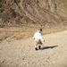 Profile Picture of Kevin Bobowski (@bobowski) on Pinterest