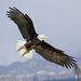 Profile Picture of Bruce Glisson (@bruceglisson) on Pinterest