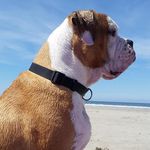 Profile Picture of Michael Rößner (@dmra63) on Instagram