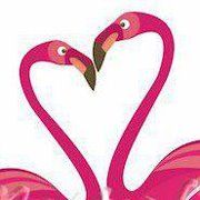 Profile Picture of Dawn Widmer Myer (@dawnmyer) on Pinterest