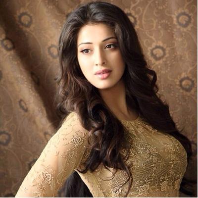 Profile Picture of Parwana Ahmadi (@SaraSaraahmadi) on Twitter