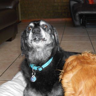 Profile Picture of Elaine Pitcher (@elaine.pitcher.9) on Facebook