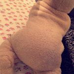 Profile Picture of Areen Arony (@areenarony) on Instagram