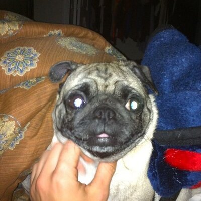 Profile Picture of Aaron Bonito (@abon2313) on Twitter