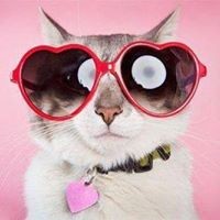 Profile Picture of Debbie Falkowski (@debbie-falkowski) on Quora