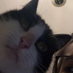 Profile Picture of michael faccone (@michaelfaccone) on Instagram