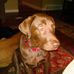 Profile Picture of Maureen Manning (@maureen.manning.334) on Facebook