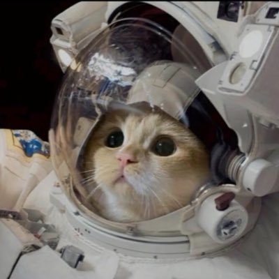 Profile Picture of Li Chenwei (@1Chenwei) on Twitter