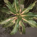 Hazell Brook - Facebook Profile Picture of Hazell Brook (@hazell.brook) on Facebook