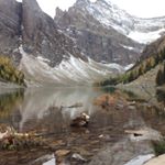 Profile Picture of Amy Dowd (@dowd_amy) on Instagram