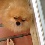 Olivia Michael - Instagram Profile Picture of Olivia Michael (@oliv_and_jethro) on Instagram