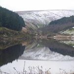 Profile Picture of Scott Grimshaw (@brit153) on Instagram