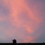 Profile Picture of corey payton (@lego_master_4321) on Instagram