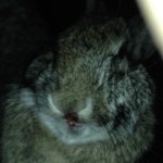 Profile Picture of Andrew Harbour (@dooby_man_420) on Instagram