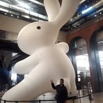 朱俊明 - Facebook Profile Picture of 朱俊明 (@朱俊明) on Facebook