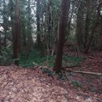 Profile Picture of Gary Terrance (@garytheguy32019) on Instagram