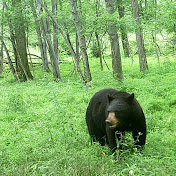 Profile Picture of Mark Hankinson (@HDxx360) on Youtube