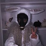 Profile Picture of Emily Judge (@emilyjudge44) on Instagram