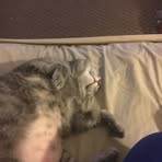 Nick Farrell - Facebook Profile Picture of Nick Farrell (@Nick-Farrell) on Facebook