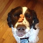 Profile Picture of Kit Martinsen (@kitgardens4u2) on Instagram