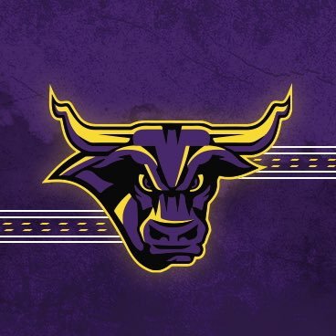 Profile Picture of Minnesota State Hockey (@MavHockey) on Twitter