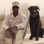 Profile Picture of Andre Hill (@k371dogtraining) on Instagram