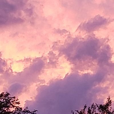 Profile Picture of Jody Hobbs Hesler (@jhhesler) on Twitter