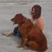 Profile Picture of Debi Gresham (@debra29170) on Pinterest