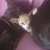 Profile Picture of Marilyn Ames (@marilyn.ames.142) on Facebook