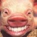 Profile Picture of David Collins (@leftone25) on Pinterest