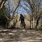 Profile Picture of Tommy Hobden (@Tommy-Hobden) on Facebook