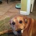 Profile Picture of Annie Hahn (@annie.hahn.5) on Facebook