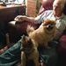 Profile Picture of Francis Kelley (@fkelley1062) on Pinterest